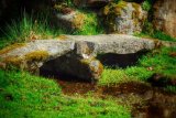 Clapper bridge near Sampford Spiney Dartmoor