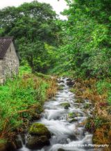 Stream near Peter Tavy Dartmoor
