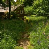Sampford Spiney churchyard May 2018