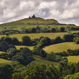 Sheep and Brentor July 2018
