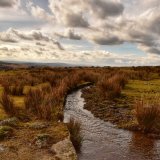 Leat at Fourwinds March 2018