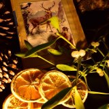 Winter solstice still life, December 2019