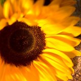 5573FE37-7C39-464E-B68B-22C413494AE5
