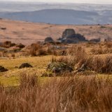 Vixen tor March 2018