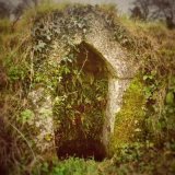 Sheepstor well, December 2018