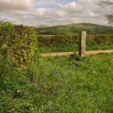 Milestone and view near Tavistock May 2018