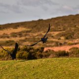 Rocks on Pork Hill February 2018