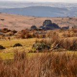 View of Vixen tor March 2018