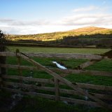 Gate near Whitchurch Down February 2018
