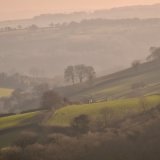Fields near Mary Tavy February 2018