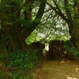 Gate at Sampford Spiney May 2018
