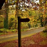 Lane near Creason woods,October 2017