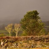 Light snow in the air, near Whitchurch down , February 2018