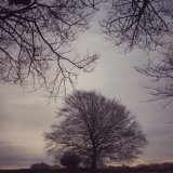 Winter field near Brentor, December 2016.