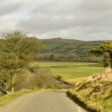 View near Whitchurch down, March 2017