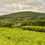 View towards cox tor July 2017