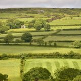 Moorland fields near pew tor June 2017