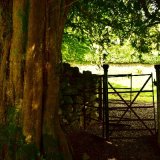 Gate in Sampford Spiney churchyard, August 2017
