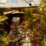 Bridge at Fourwinds, September 2017.