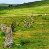 Stone row at Drizzlecombe