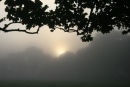 Warrens Cross Sunrise, Dartmoor.