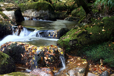 River Dart, Dartmeet.