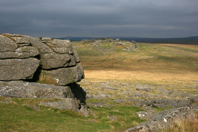 Great Staple Tor Dartmoor
