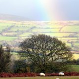 Rainbow over Whitchurch Down, Dartmoor. January 2015.