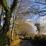Lane at Moortown, Dartmoor Feb 2015.