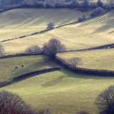 Light on fields near Mary Tavy Dartmoor, Feb 2015.
