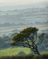 View from Pork Hill car park, Dartmoor. A4 Print only.