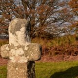 Cross, Whitchurch down October 2016