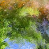 Reflection in the river Tavy, Tavistock.
