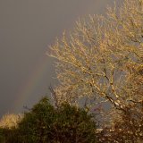 November rainbow near Whitchurch down