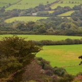 View near Whitchurch down, October 2016