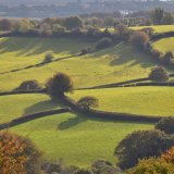 October fields near Mary Tavy, Dartmoor 2016.
