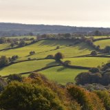 October landscape near Mary Tavy, October 2016.