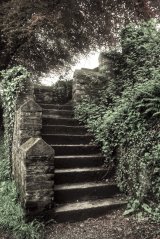 Steps in Tavistock