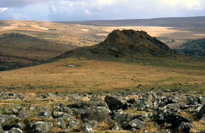 Leather Tor, Dartmoor.