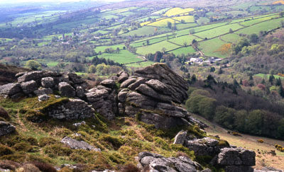 Honeybag Tor, Dartmoor