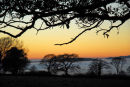 Misty Sunset And Trees Plasterdown