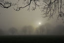 Silver Sunrise Plasterdown Dartmoor
