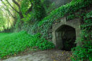 St Johns Well Tavistock Meadows