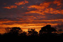 Whitchurch Sunset II