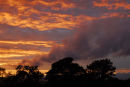 Whitchurch Sunset III