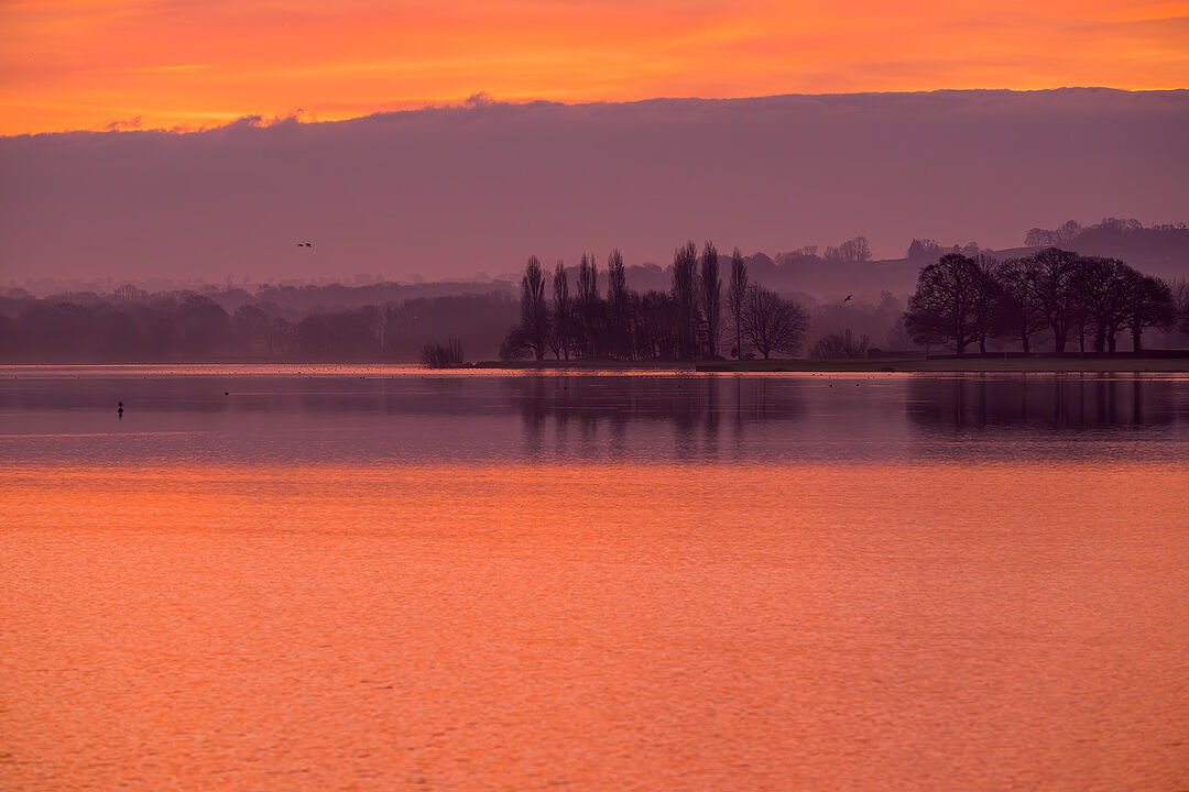 A peaceful sunrise at Blagdon Lake showing a silhouetted treeline and birds flying against a gradient sky of orange, pink, and deep violet.