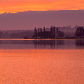 A peaceful sunrise at Blagdon Lake showing a silhouetted treeline and birds flying against a gradient sky of orange, pink, and deep violet.