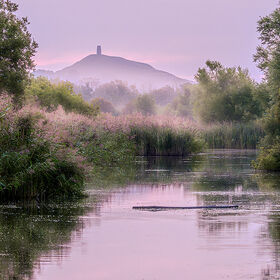 A misty sunrise view of Glastonbury Tor rising above the marshlands and reed beds of Ham Wall on the Somerset Levels, with pastel pink and purple sky reflections in the water.