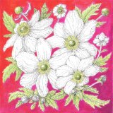 pen & ink with coloured pencil