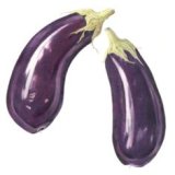 aubergine